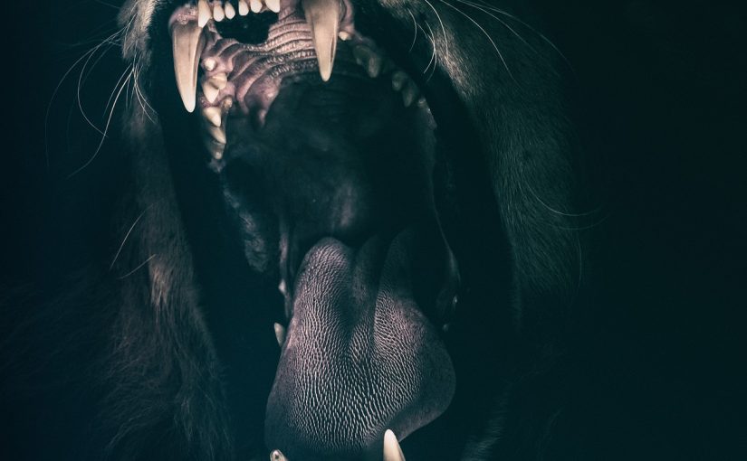 Classement : les signes astrologiques les plus méchants