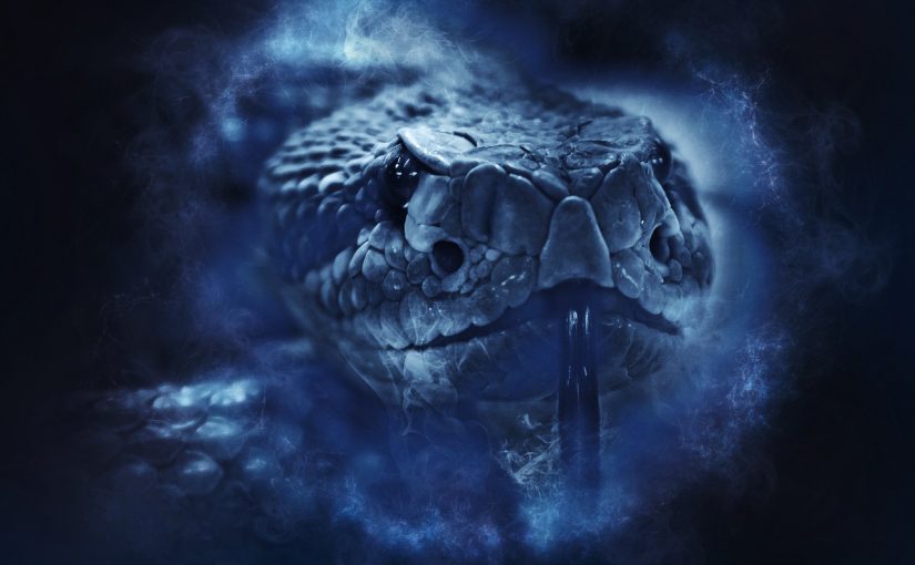 Rêver de serpents : quelles significations ?