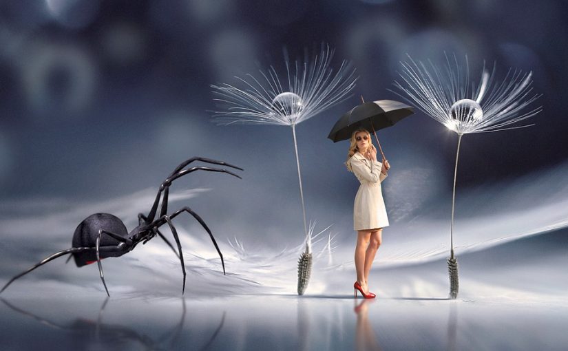 Rêver d’araignée (voire même de mygale) : quelle signification ?