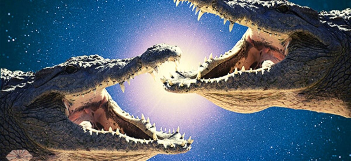 Rêver de crocodile, les significations