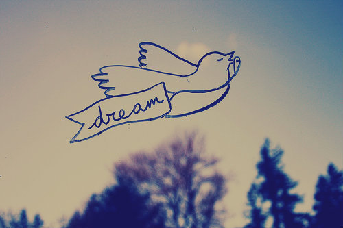 Quelles sont les significations de rêver d’oiseaux ?